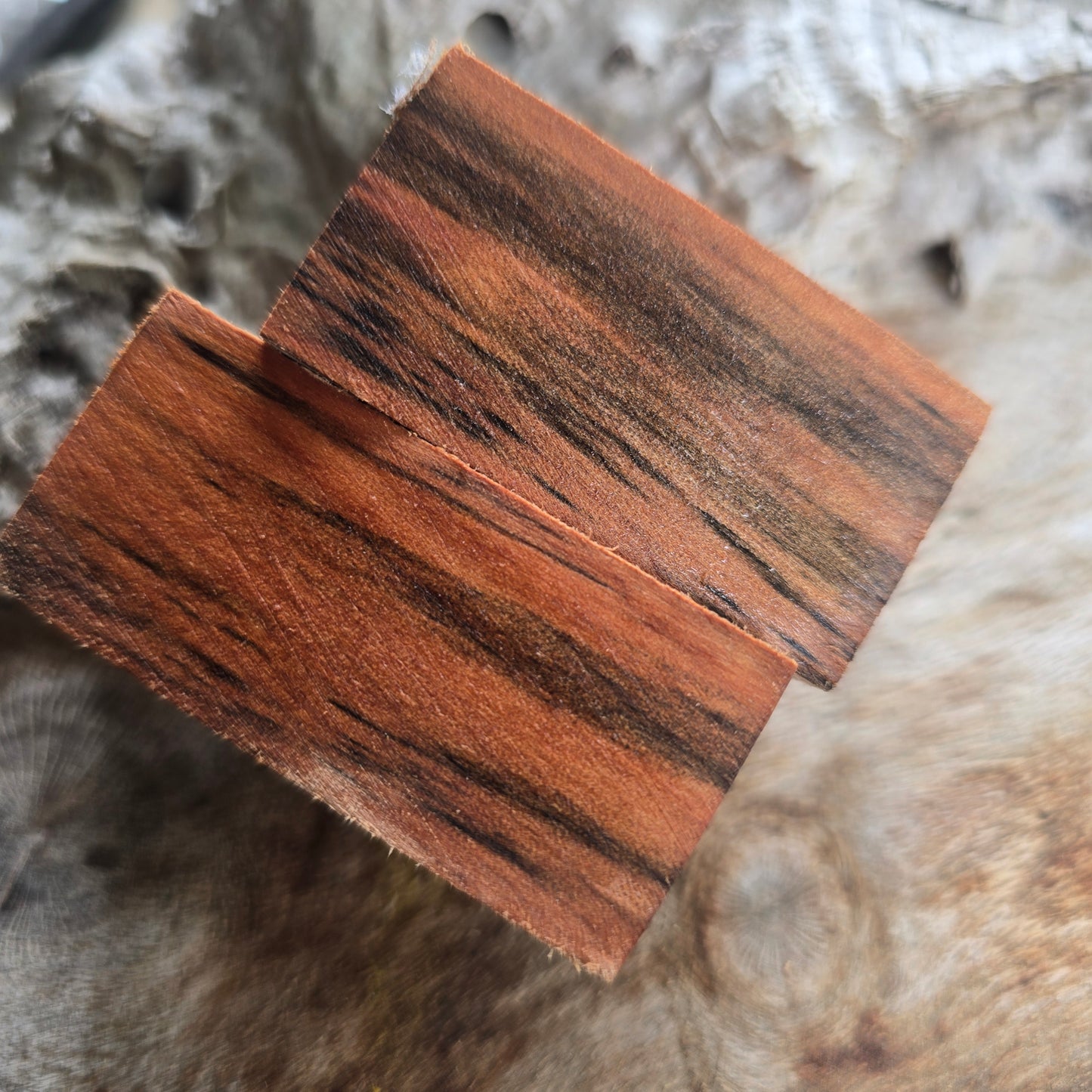 12/01/26 Live Turning - Tiger Myrtle Cuban Twist Style Pen with WAX FINISH