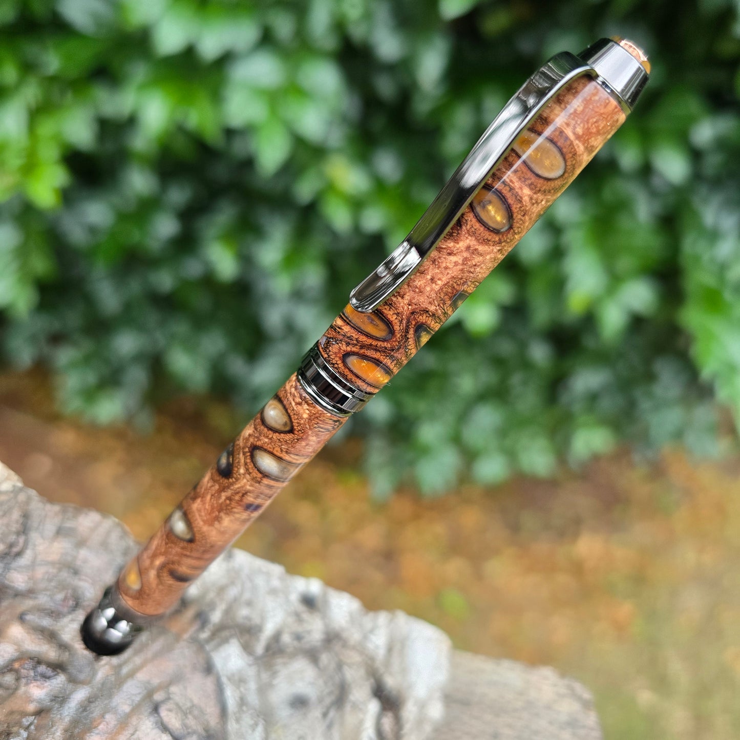 Banksia Pod Cohiba Twist Style Pen with Etched Metal Trim