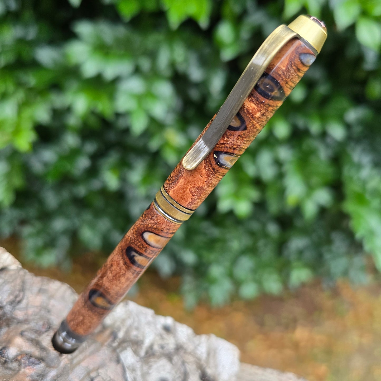 Banksia Pod Cohiba Twist Style Pen with Brass Trim