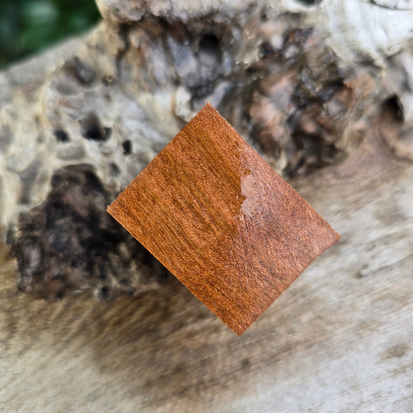 18/06/26 Live Turning - MINI Myrtle Ned Kelly Style Pen with NATURAL WAX FINISH