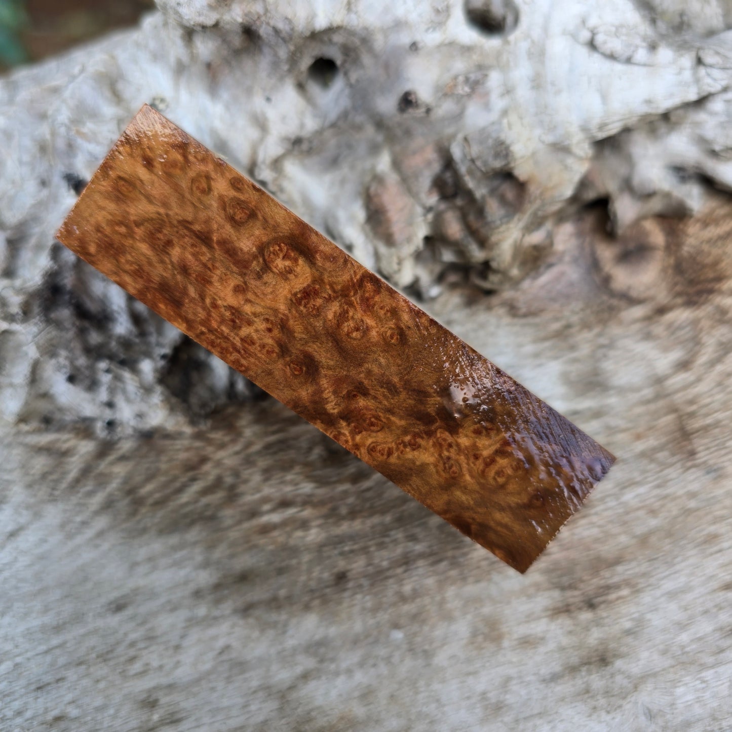 25/06/26 Live Turning - Rib Fruited Mallee Burl Ashton Click Style Pen