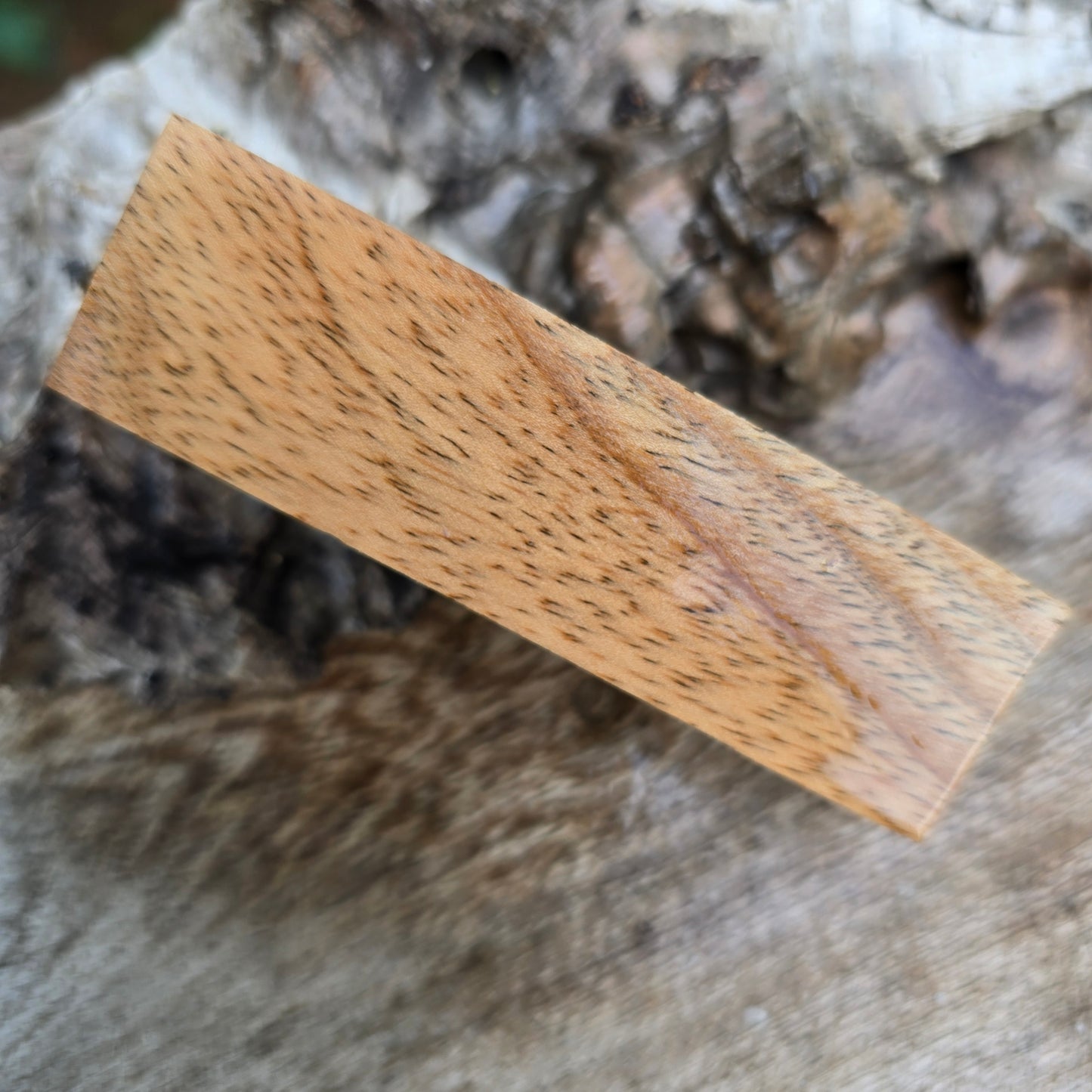 25/06/26 Live Turning - Claret Ash Ashton Click Style Pen