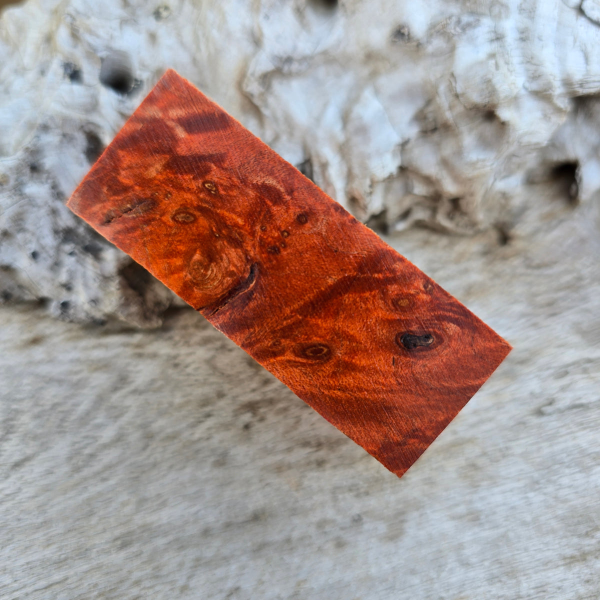 24/09/26 Live Turning - Dyed Timber Bathurst Style Pen