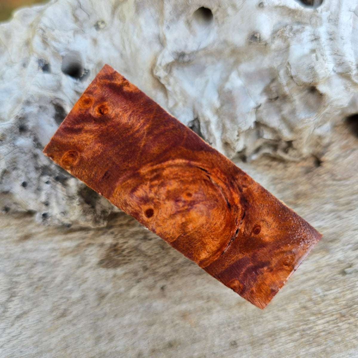 24/09/26 Live Turning - Dyed Timber Bathurst Style Pen