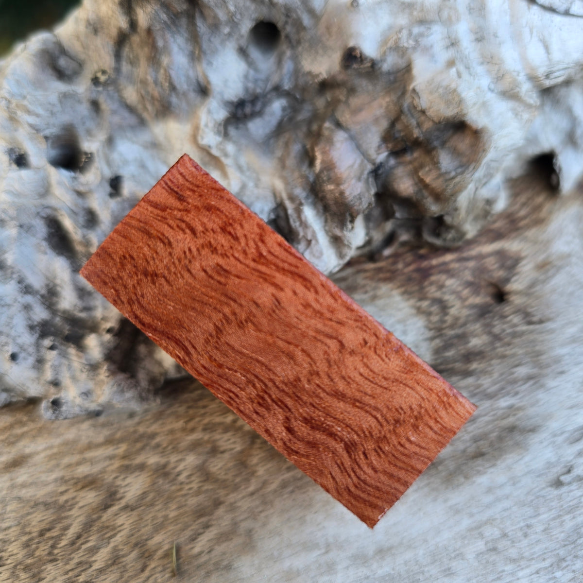 28/09/26 Live Turning - River Red Gum Winchester Style Pen