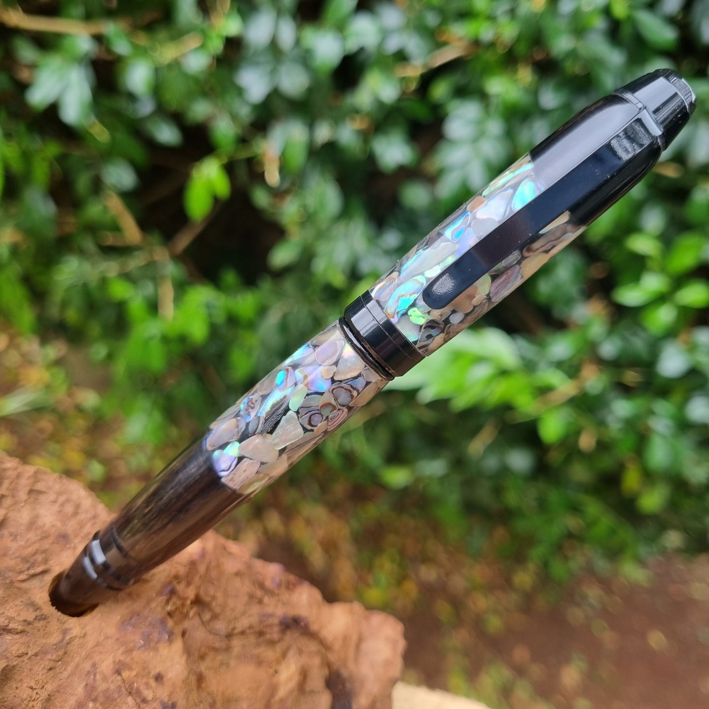 Cuban Abalone with Gaboon Ebony