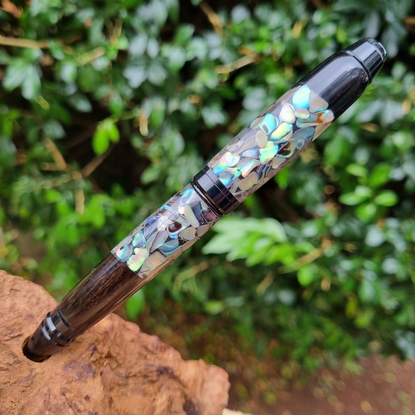 Cuban Abalone with Gaboon Ebony