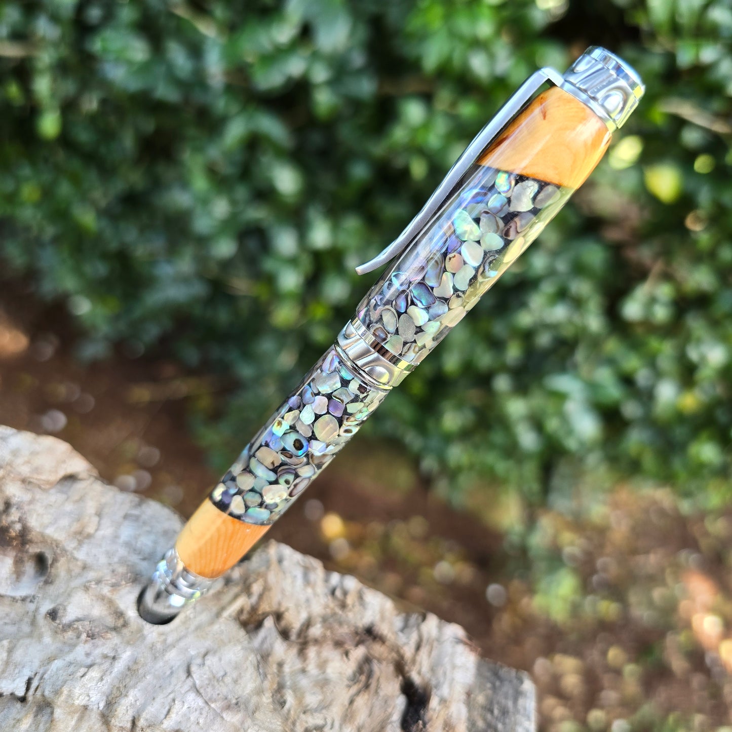 Abalone Ultra Cuban with Mallee Burl Trim