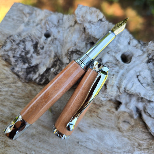 Myrtle Atrax Fountain Pen with Silver Trim