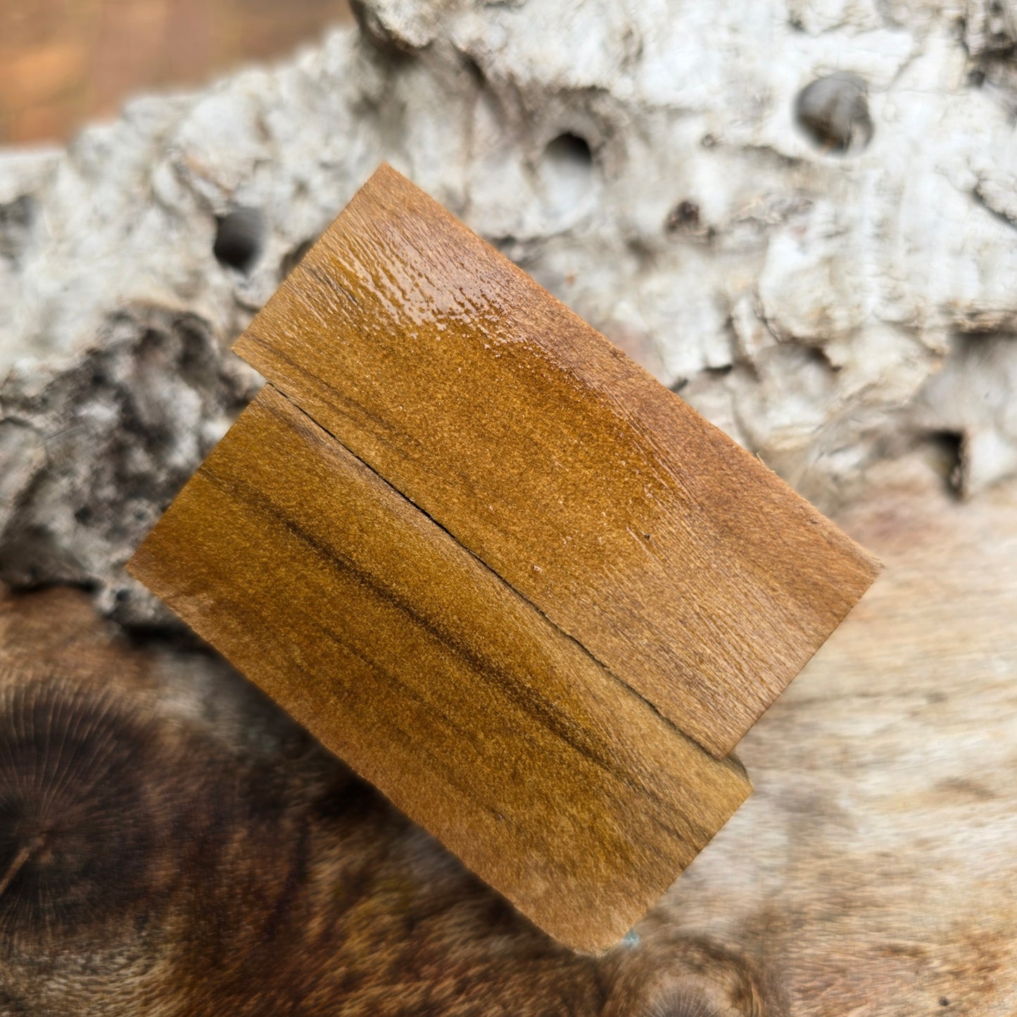 12/01/26 Live Turning - Sassafras Broadline Twist Pen with WAX FINISH