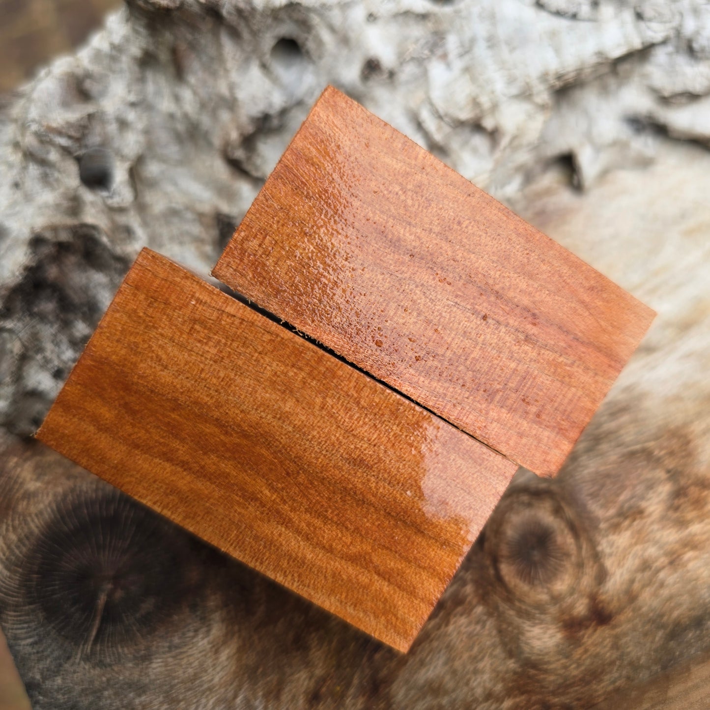 12/01/26 Live Turning - Myrtle Broadline Twist Pen with WAX FINISH