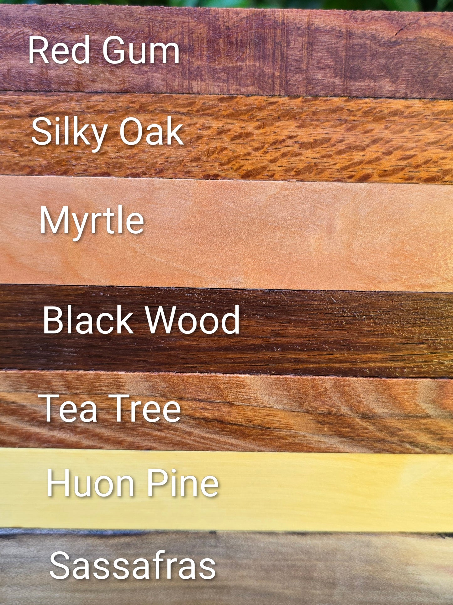 MADE TO ORDER - Timber Broadline Twist Pen