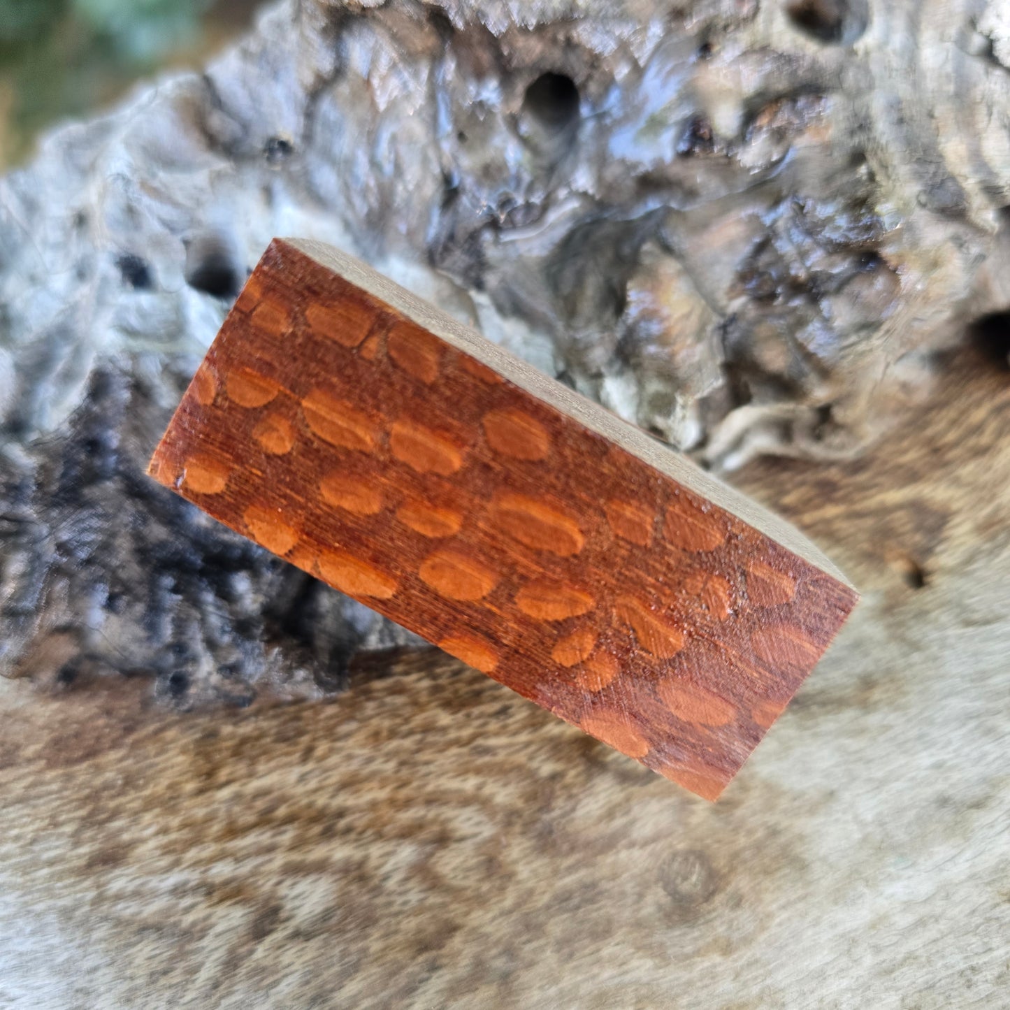 04/06/26 Live Turning - Lace Sheoak Ned Kelly Style Pen