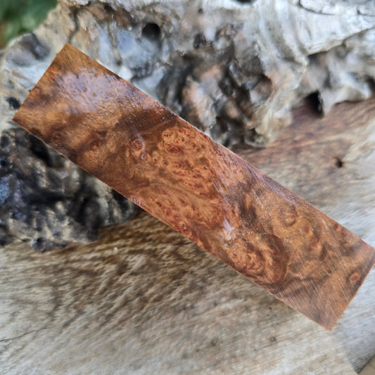 08/06/26 Live Turning - Rib Fruited Mallee Burl Chester Rollerball Pen