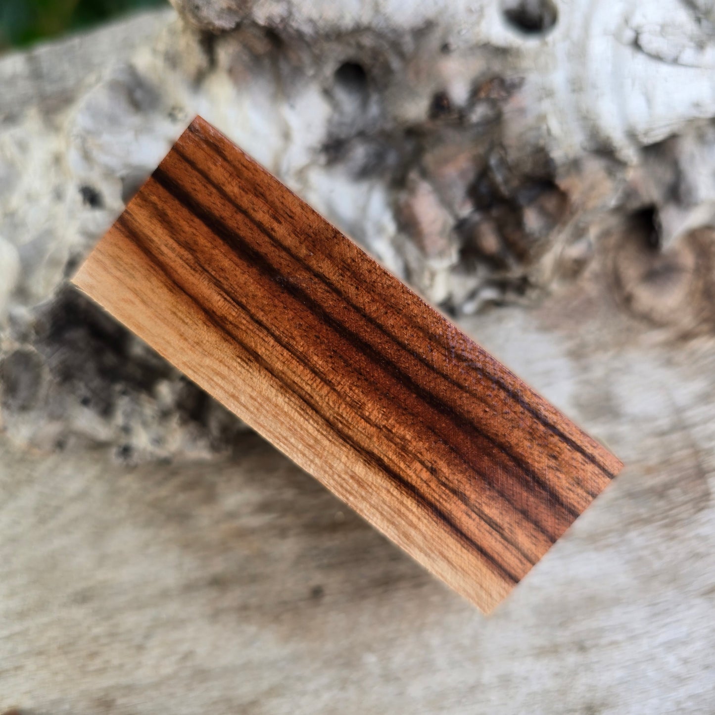 18/06/26 Live Turning - Camphor Laurel Axel Click Style Pen