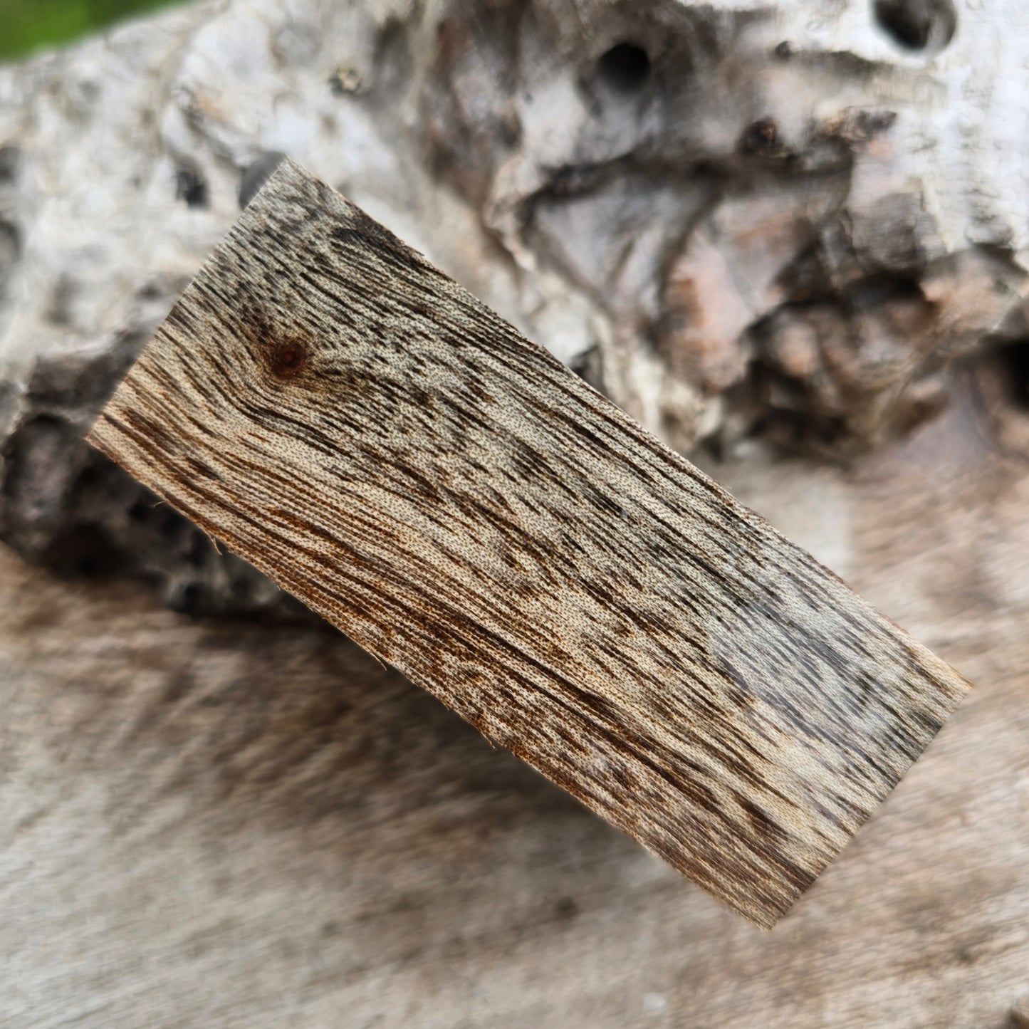 02/07/26 Live Turning - Camphor Laurel Axel Click Style Pen