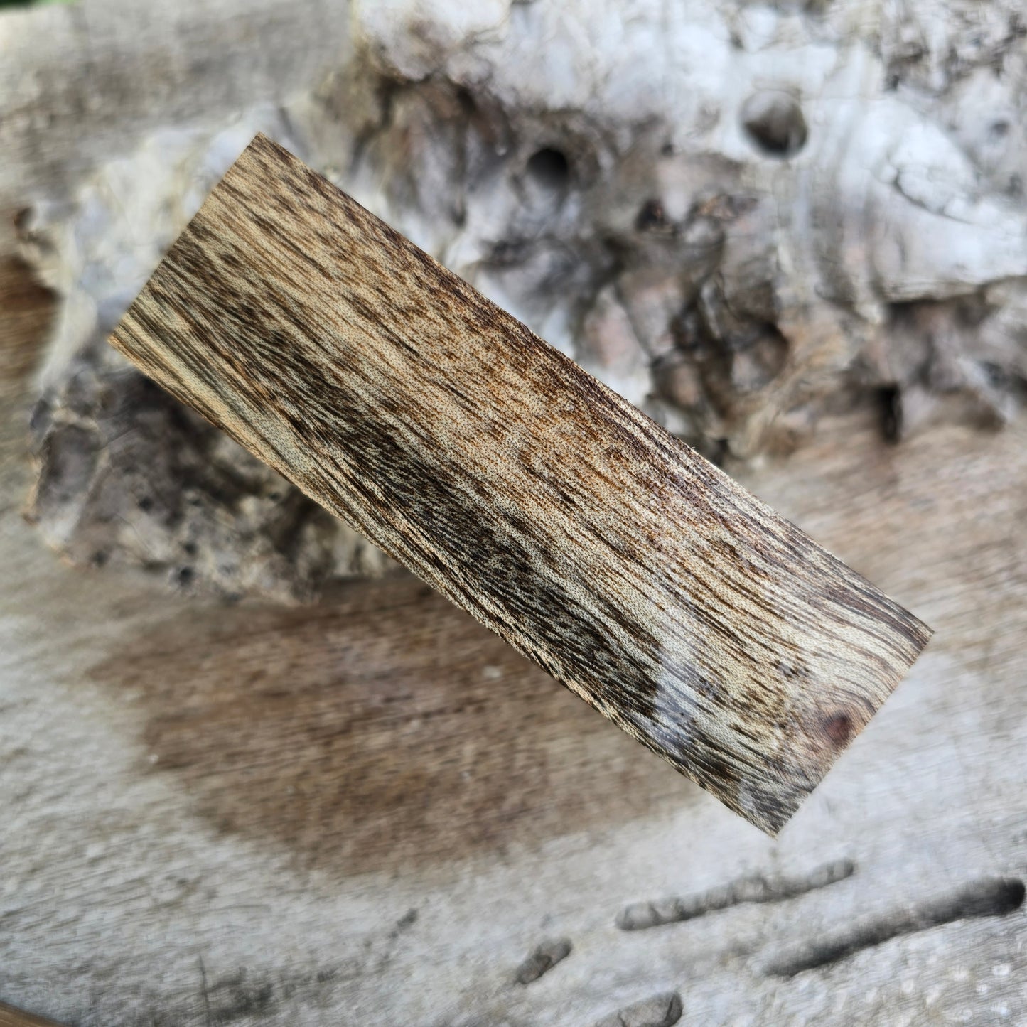 06/08/26 Live Turning - Camphor Laurel Imperial Click Style Pen