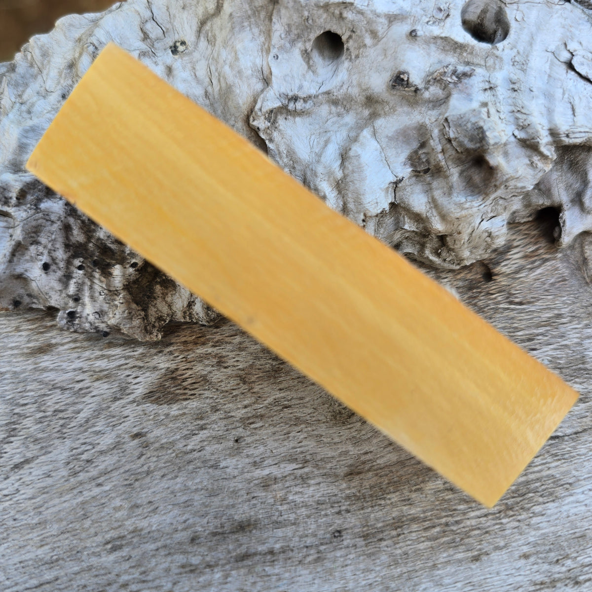 24/09/26 Live Turning - Huon Pine Imperial Click Style Pen