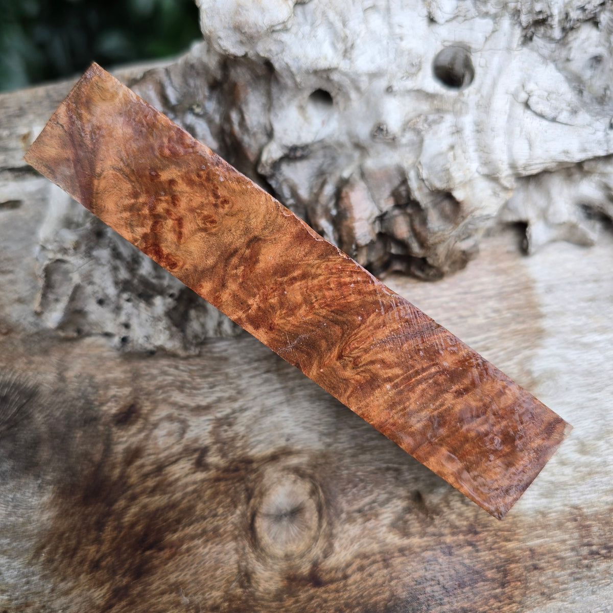15/10/26 Live Turning - Rib Fruited Mallee Havana Twist Style Pen